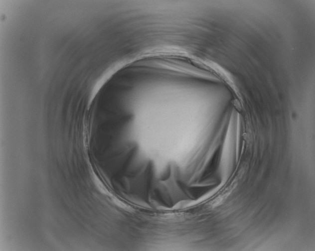 X0000077391390200611031950