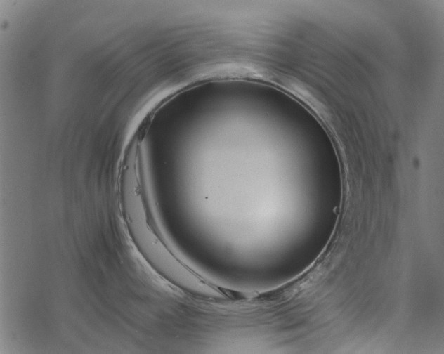 X0000077391392200611031950