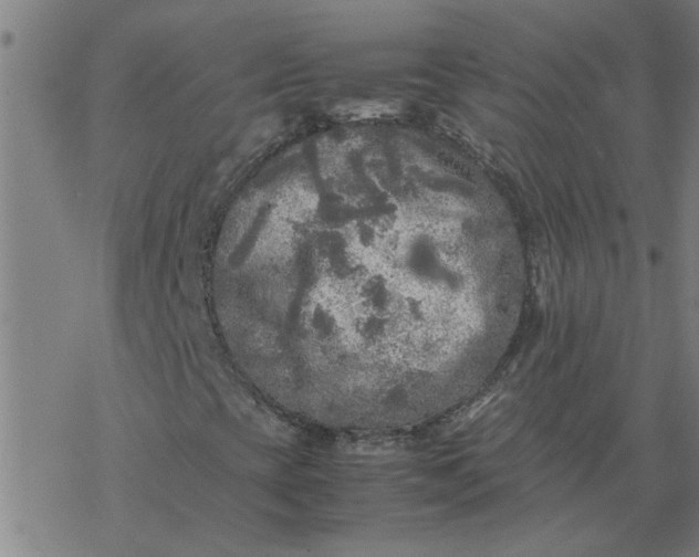 X0000077391393200611031950