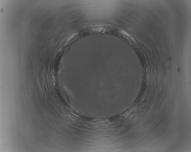 X0000077391394200611031950