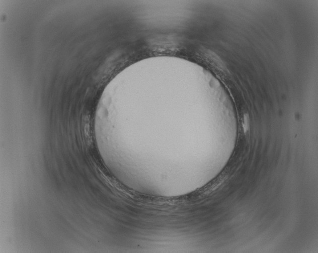 X0000077391396200611031950