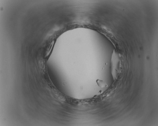 X0000077391398200611031950