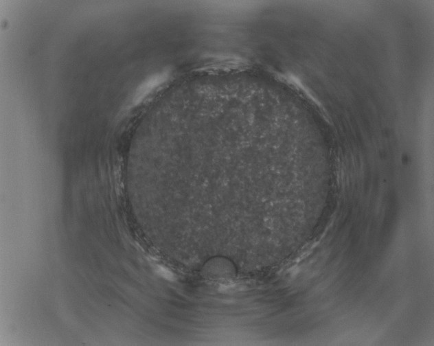 X0000077391399200611031950