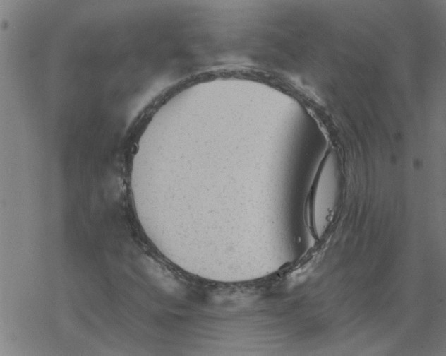 X0000077391400200611031950