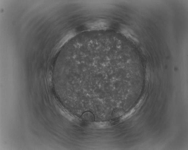 X0000077391401200611031950