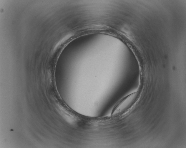 X0000077391402200611031950