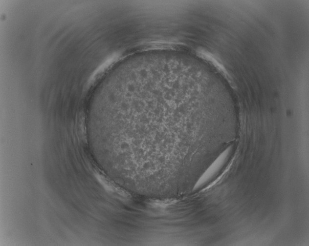 X0000077391403200611031950