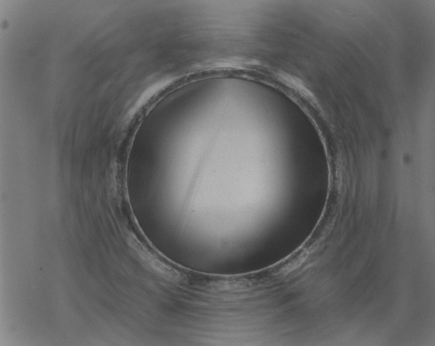 X0000077391404200611031950