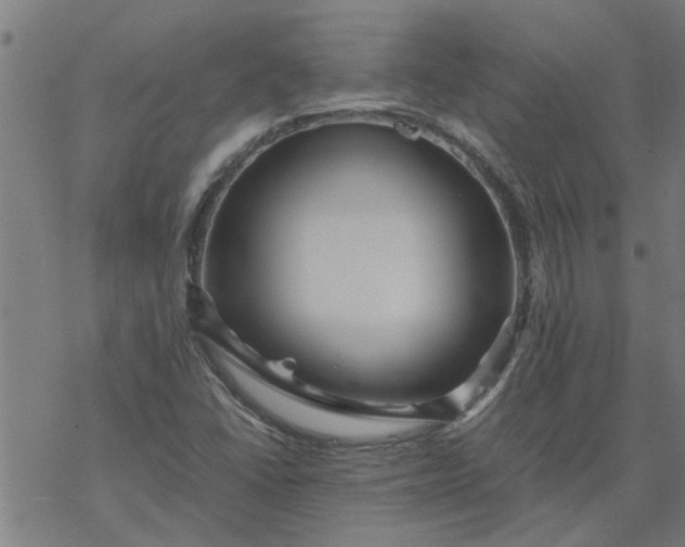 X0000077391406200611031950