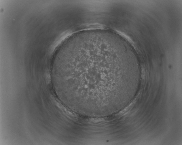 X0000077391407200611031950