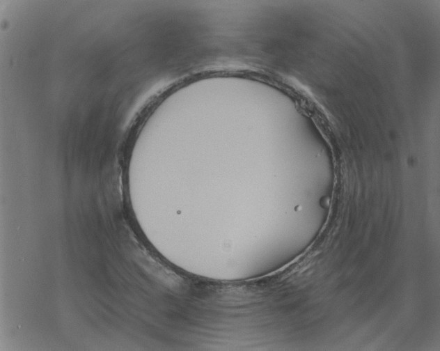 X0000077391408200611031950