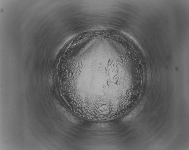 X0000077391409200611031950