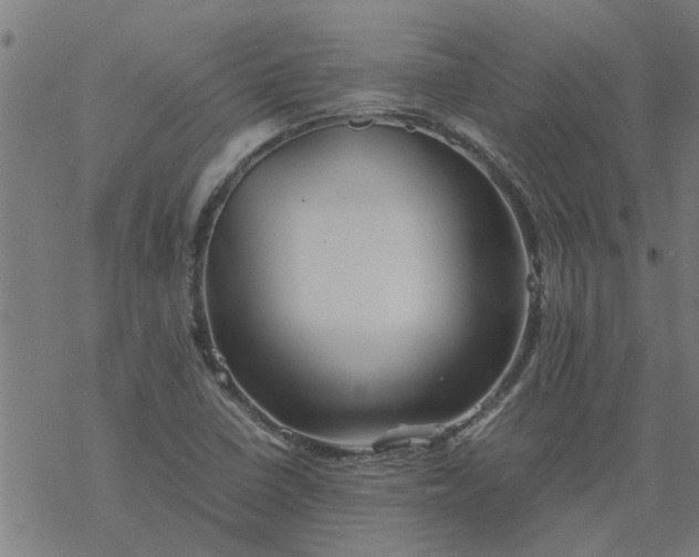 X0000077391410200611031950