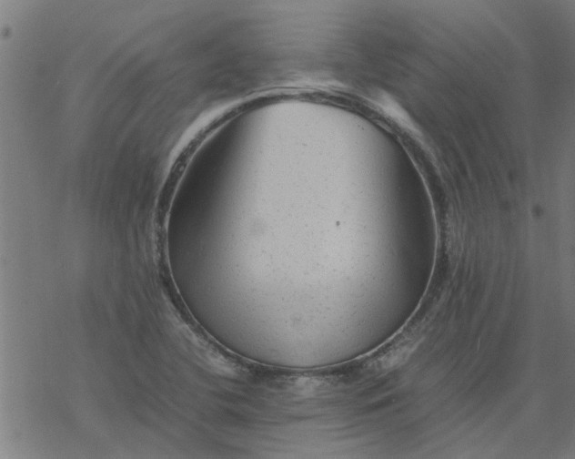 X0000077391412200611031950