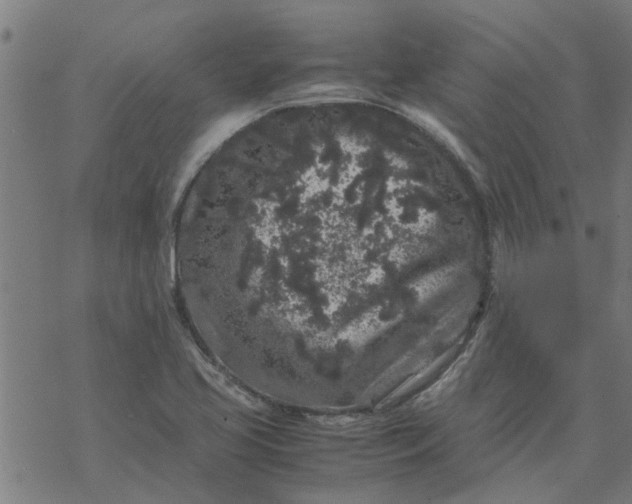 X0000077391413200611031950