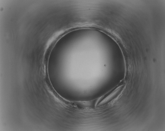 X0000077391414200611031950