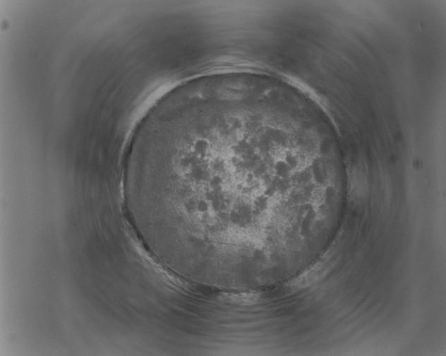 X0000077391415200611031950