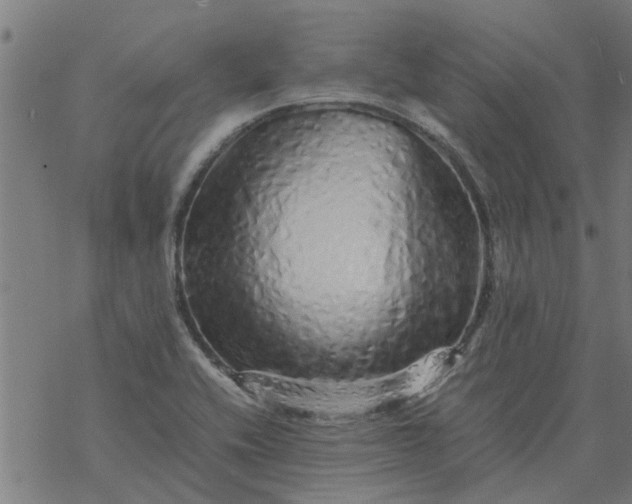 X0000077391416200611031950