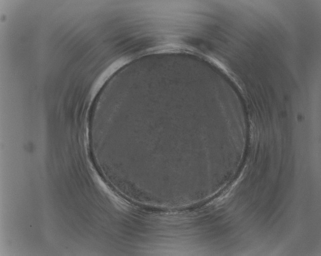 X0000077391418200611031950