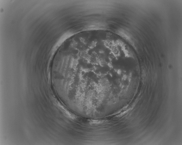 X0000077391419200611031950