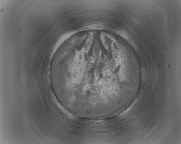 X0000077391421200611031950