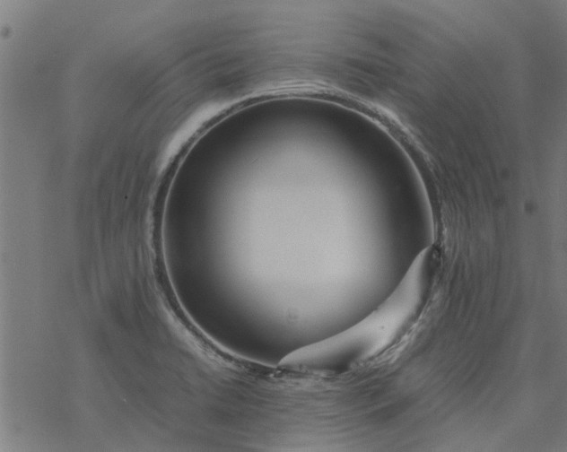 X0000077391422200611031950