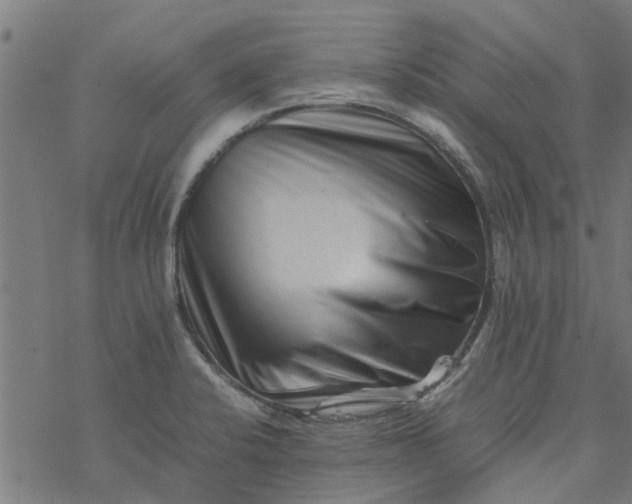 X0000077391424200611031950