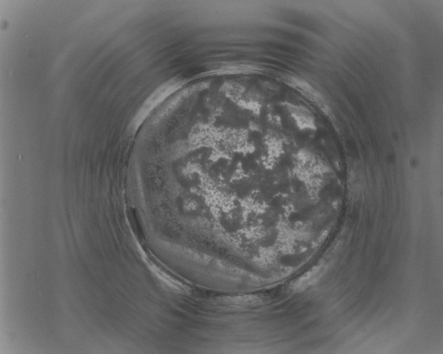 X0000077391425200611031950