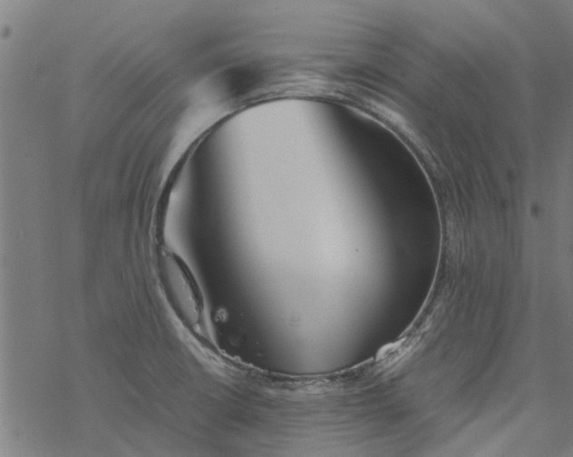 X0000077391426200611031950