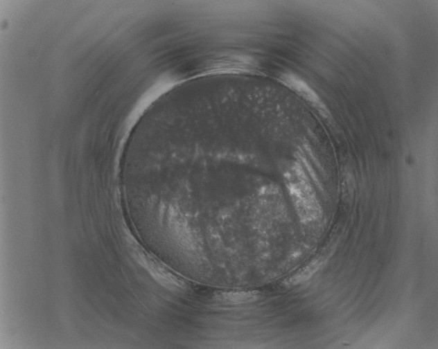 X0000077391427200611031950