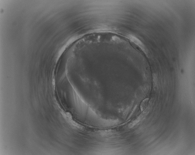 X0000077391428200611031950