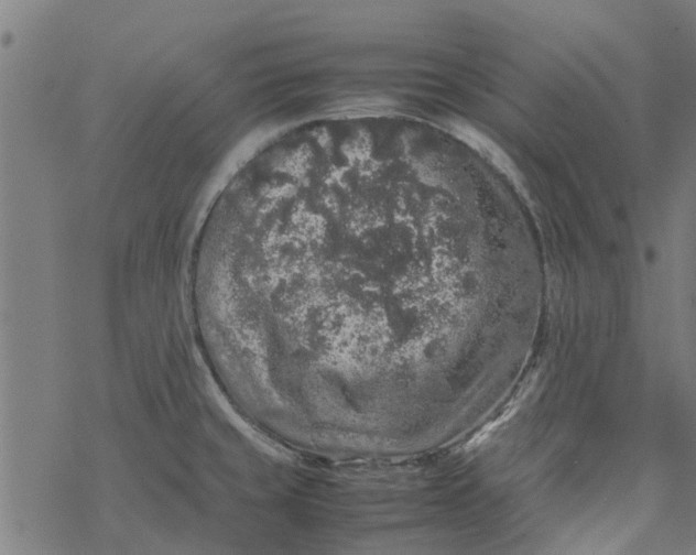 X0000077391429200611031950