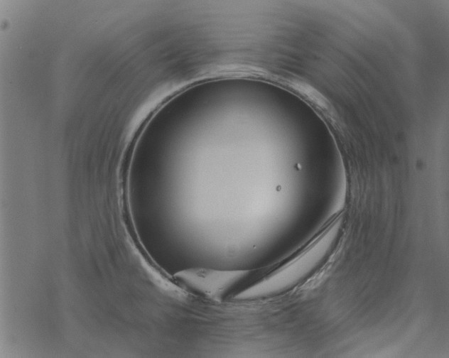 X0000077391430200611031950