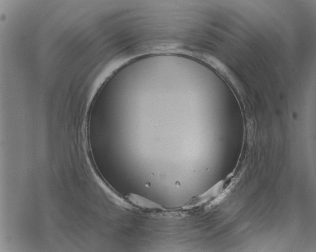 X0000077391432200611031950