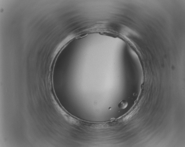 X0000077391434200611031950