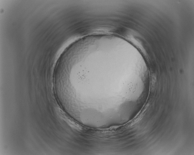 X0000077391435200611031950