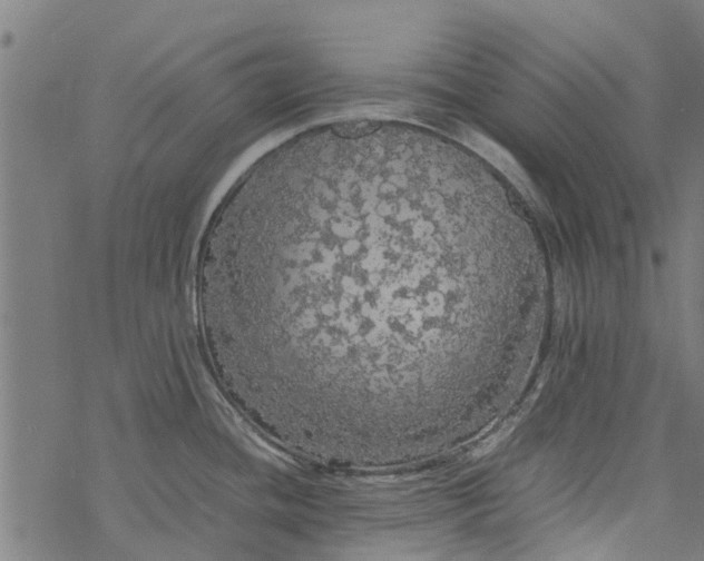 X0000077391436200611031950