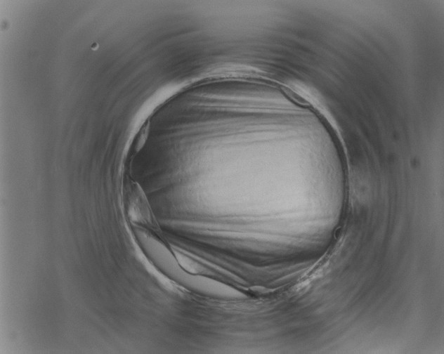 X0000077391437200611031950