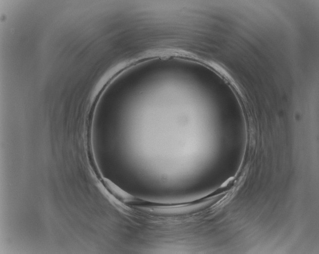 X0000077391438200611031950