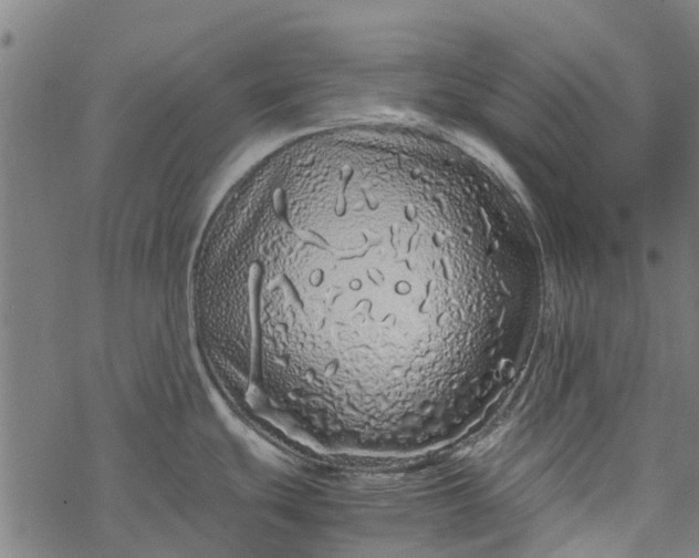 X0000077391439200611031950