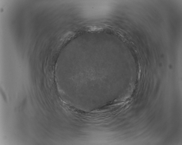 X0000077391441200611031950