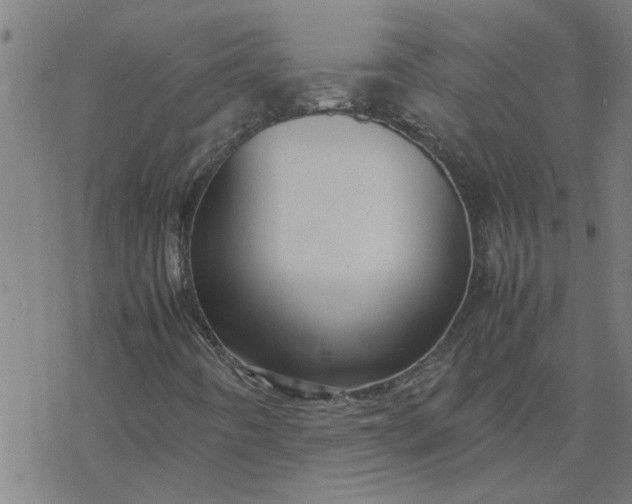 X0000077391442200611031950