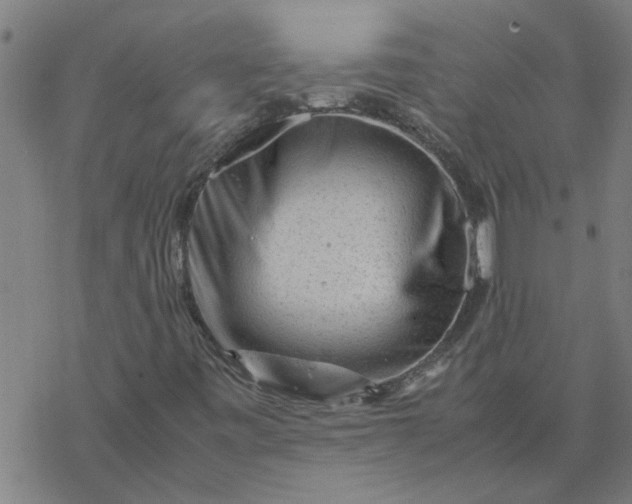 X0000077391443200611031949