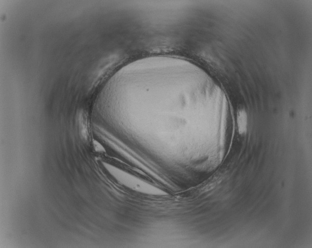 X0000077391444200611031949