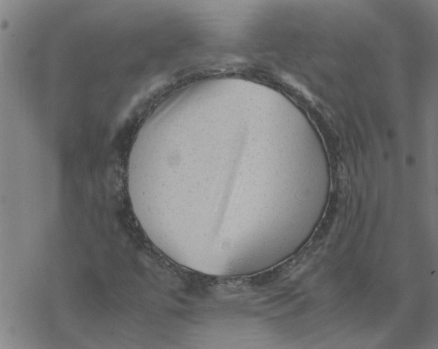 X0000077391447200611031949