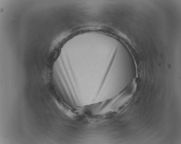 X0000077391448200611031949