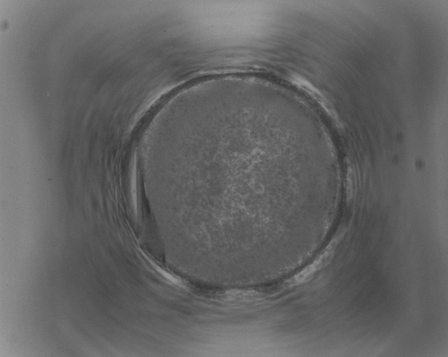 X0000077391449200611031949