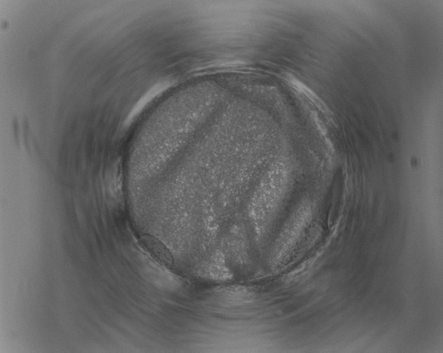 X0000077391450200611031949