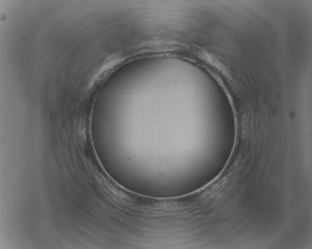 X0000077391451200611031949