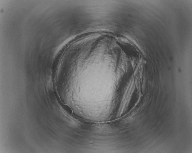 X0000077391452200611031949